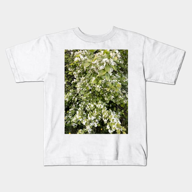 Hawthorn Kids T-Shirt by Ecotone